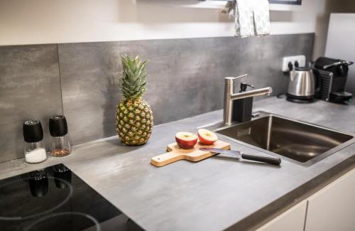 Vrchlabi Apartamento | Krkonošský šarm