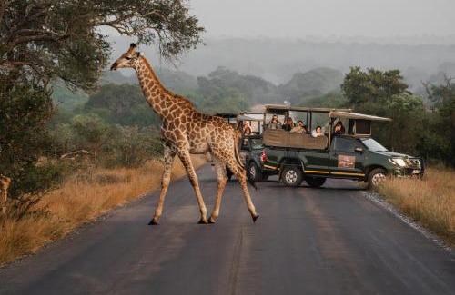 Sabiepark Hotel | Kruger Gate Hotel