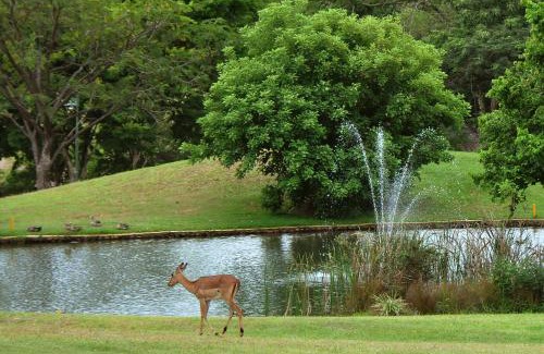 Hazyview Apartamento | Kruger Park Lodge Unit No. 612