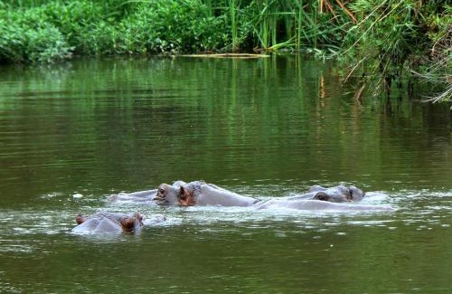 Hazyview Apartamento | Kruger Park Lodge Unit No. 612