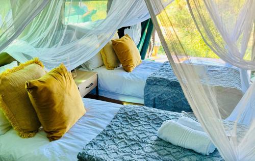 Kruger National Park Otro | Kruger Untamed - Tshokwane River Camp