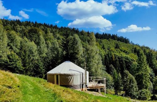 Kamienna Gora Otro | Kryjówka - Jurty ukryte wśród zieleni