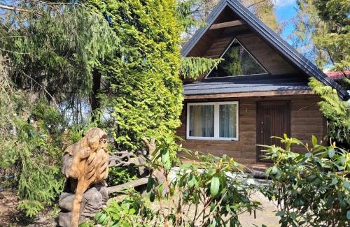 Wisla Chalet De Esquí | Księżycowy Domek Nad Potokiem
