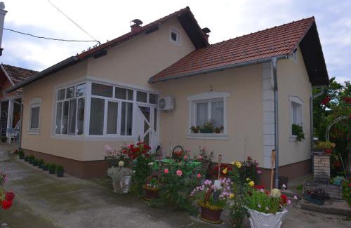 Central Serbia Apartamento | Kuća za odmor Žuta Vila