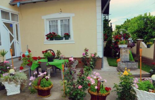 Central Serbia Apartamento | Kuća za odmor Žuta Vila