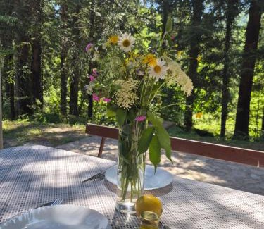 Bosanski Petrovac Apartamento | Kuća za odmor Carpe Diem