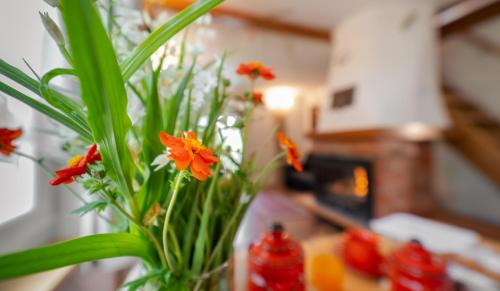 Trsce Chalet De Esquí | KUĆA ZA ODMOR DANICA