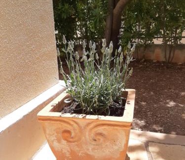 Poljica Casa | Kuća za odmor Lavanda