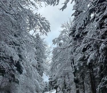 Jasenak Chalet De Esquí | Kuća za odmor Petra