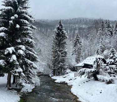 Jasenak Chalet De Esquí | Kuća za odmor Petra