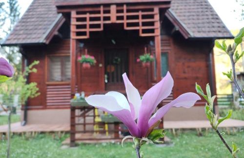 Central Serbia Casa | Kuća za odmor Stanišić