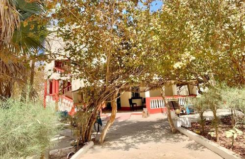 Gunjur Cama Y Desayuno | Kuba Lodge