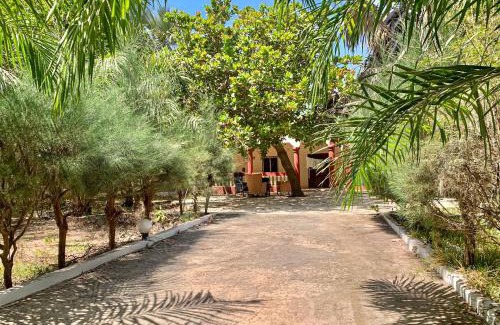 Gunjur Cama Y Desayuno | Kuba Lodge