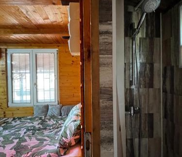 Ostruznica Casa | Kuca i splav na reci Savi