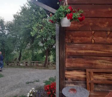 Mokra Gora Casa | Kuca za odmor Kalina