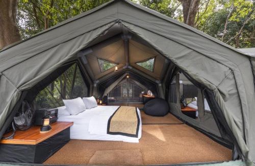Panama Otro | Kumana Under Canvas