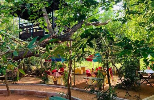Thalawa Complejo | Kumbuke Resort