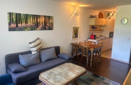 Schluchsee Apartamento | Kurhotel Schluchsee Apartment 1305