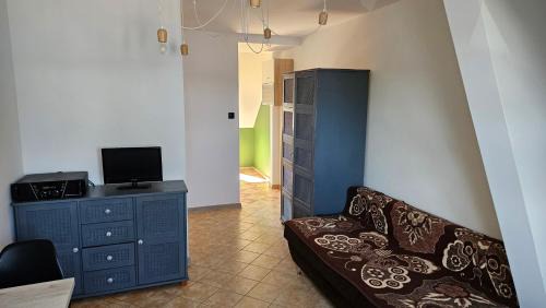 Zalewo Apartamento | Kurka wodna Siemiany