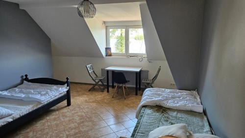 Zalewo Apartamento | Kurka wodna Siemiany