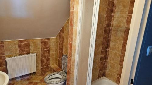 Zalewo Apartamento | Kurka wodna Siemiany