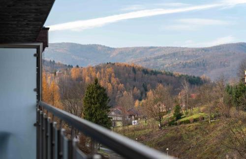 Porabka Apartamento | Kurort Kozubnik - Apartamenty Daglezja w cichej okolicy nad strumykiem- Dream Apart