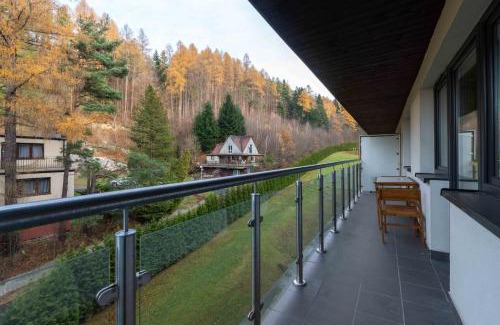 Porabka Apartamento | Kurort Kozubnik - Apartamenty Daglezja w cichej okolicy nad strumykiem- Dream Apart