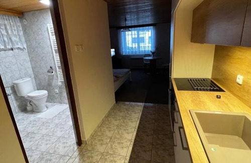 Litomerice Apartamento | Květinová