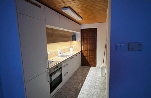 Litomerice Apartamento | Květinová