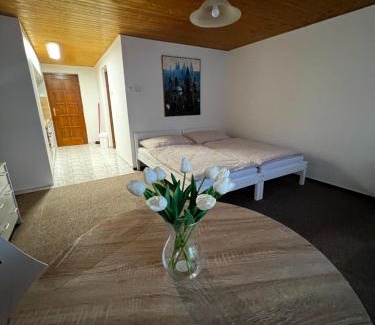 Litomerice Apartamento | Květinová