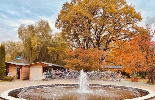 Solochyn Apartamento | Kvitka Polonyny Apartamenty