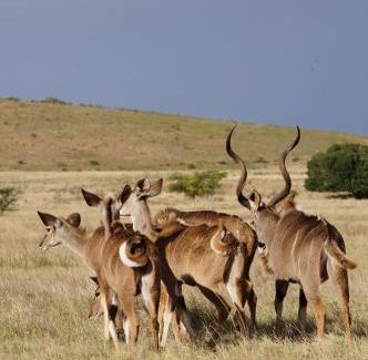 Swellendam Casa | Kwetu Guest Farm