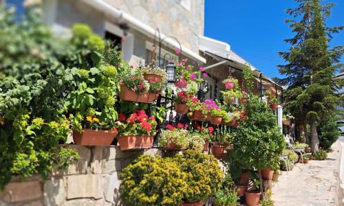 Kyperounta Apartamento | Kyperounta Troodos mountain house