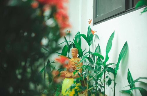 Thuy Xuan Casa | Kypyny House Homestay