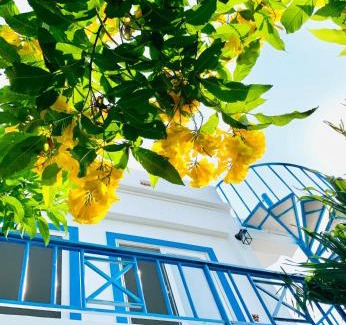 Son Tinh Hotel | Làng biển Homestay