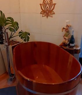 Sao Marcos Casa | Lá Luciolla Loft Cabana