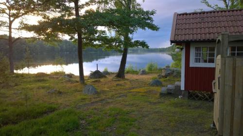 Asarum Otro | Långasjönäs Camping & Stugby