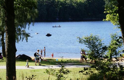 Asarum Otro | Långasjönäs Camping & Stugby