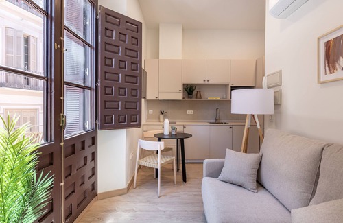 Centro Apartamento | Líbere Málaga La Merced