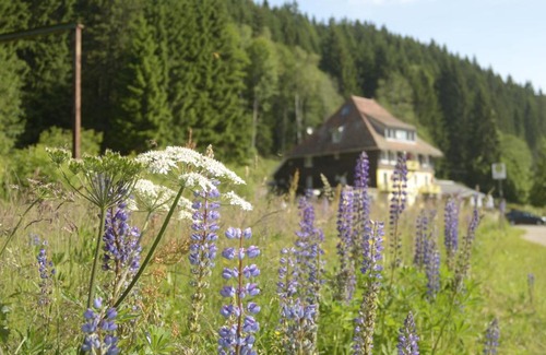 Hinterzarten Casa | Löffelschmiede Hotel & Restaurant am Titisee / Feldberg