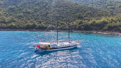 Bodrum City Center Alquiler De Eote | Lıfe ıs lıfe