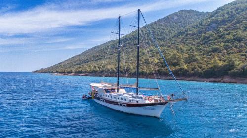 Bodrum City Center Alquiler De Eote | Lıfe ıs lıfe