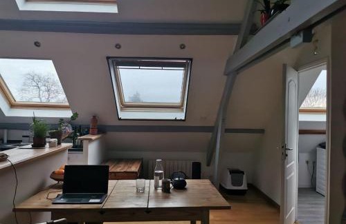 La Capelle-les-Boulogne Apartamento | L écrin de la Capelle