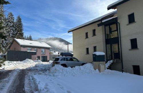 Xonrupt-Longemer Apartamento | L'écureuil des lacs