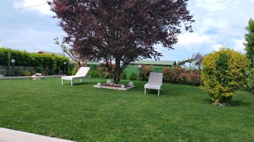Miglianico Casa | L' acero rosso