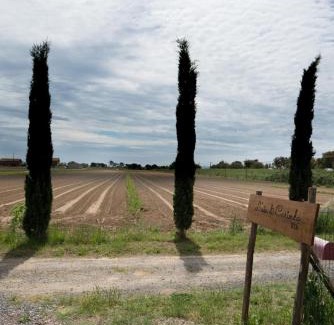 Grosseto Apartamento | L' Aia di Carinda R.T.A.