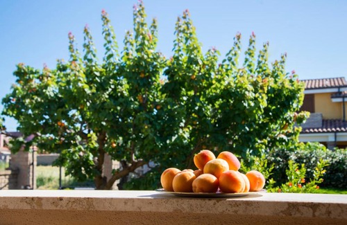 Cerreto Cama Y Desayuno | L'Albicocco