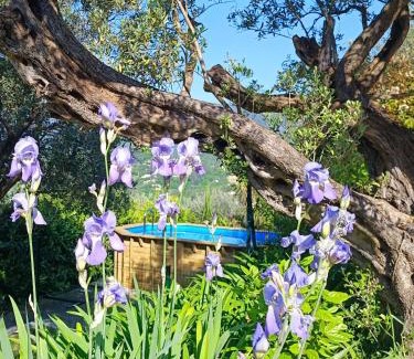 Fayence Casa | L'Aloha Gîte de charme au cœur de Fayence avec Vue Panoramique