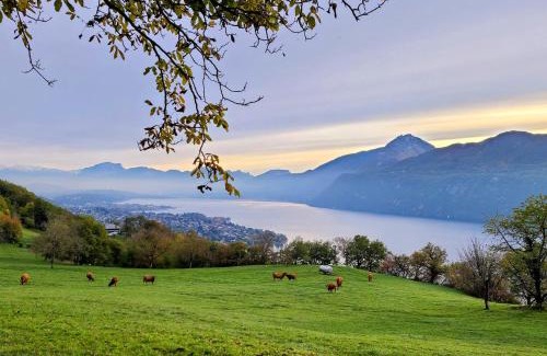 Brison-Saint-Innocent Casa | L'Alpage, vue lac