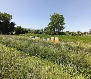 Montefalco Casa | L'Antico Fienile